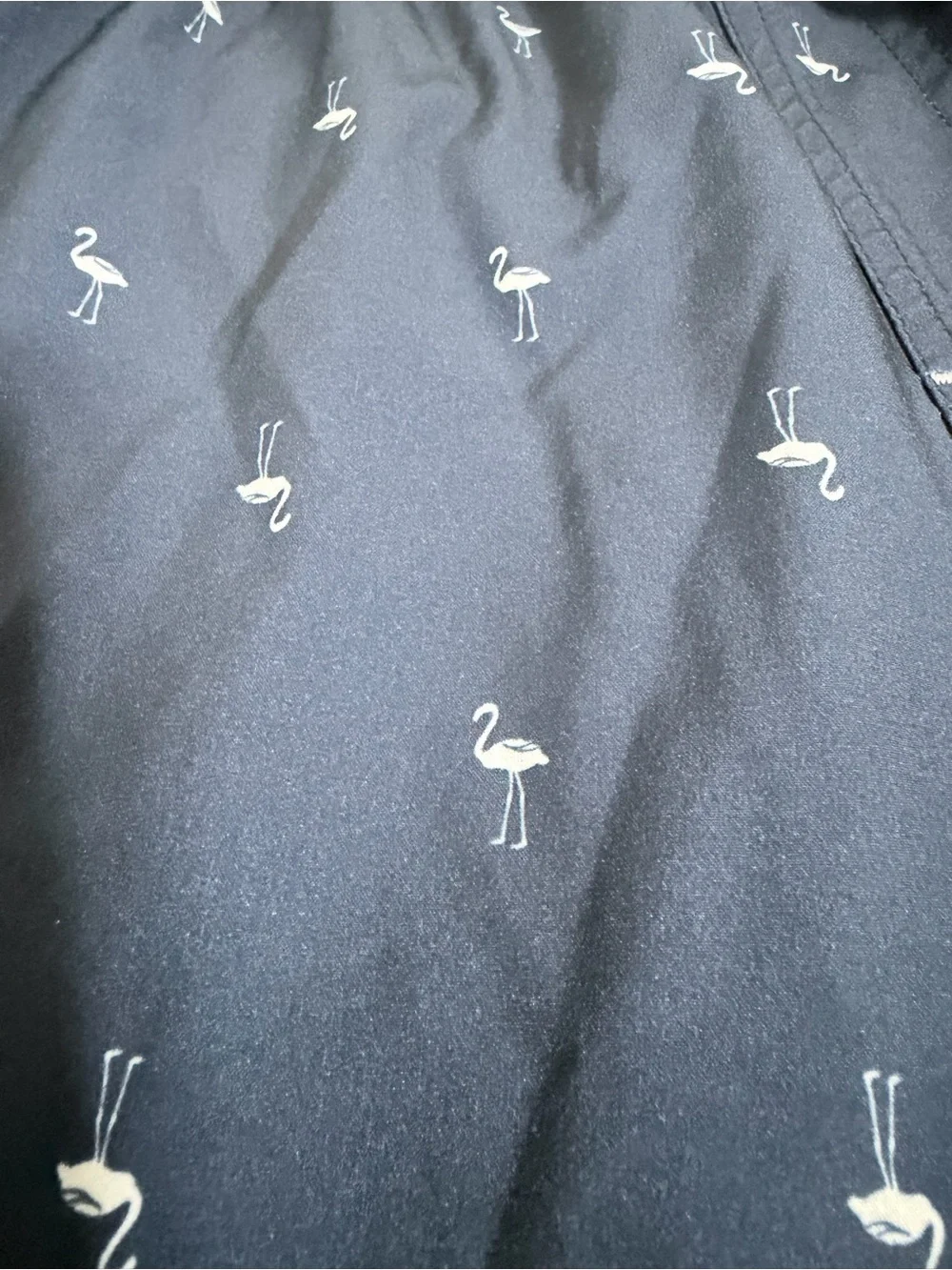 Goodfellow & Co Navy Flamingo Swim Trunks